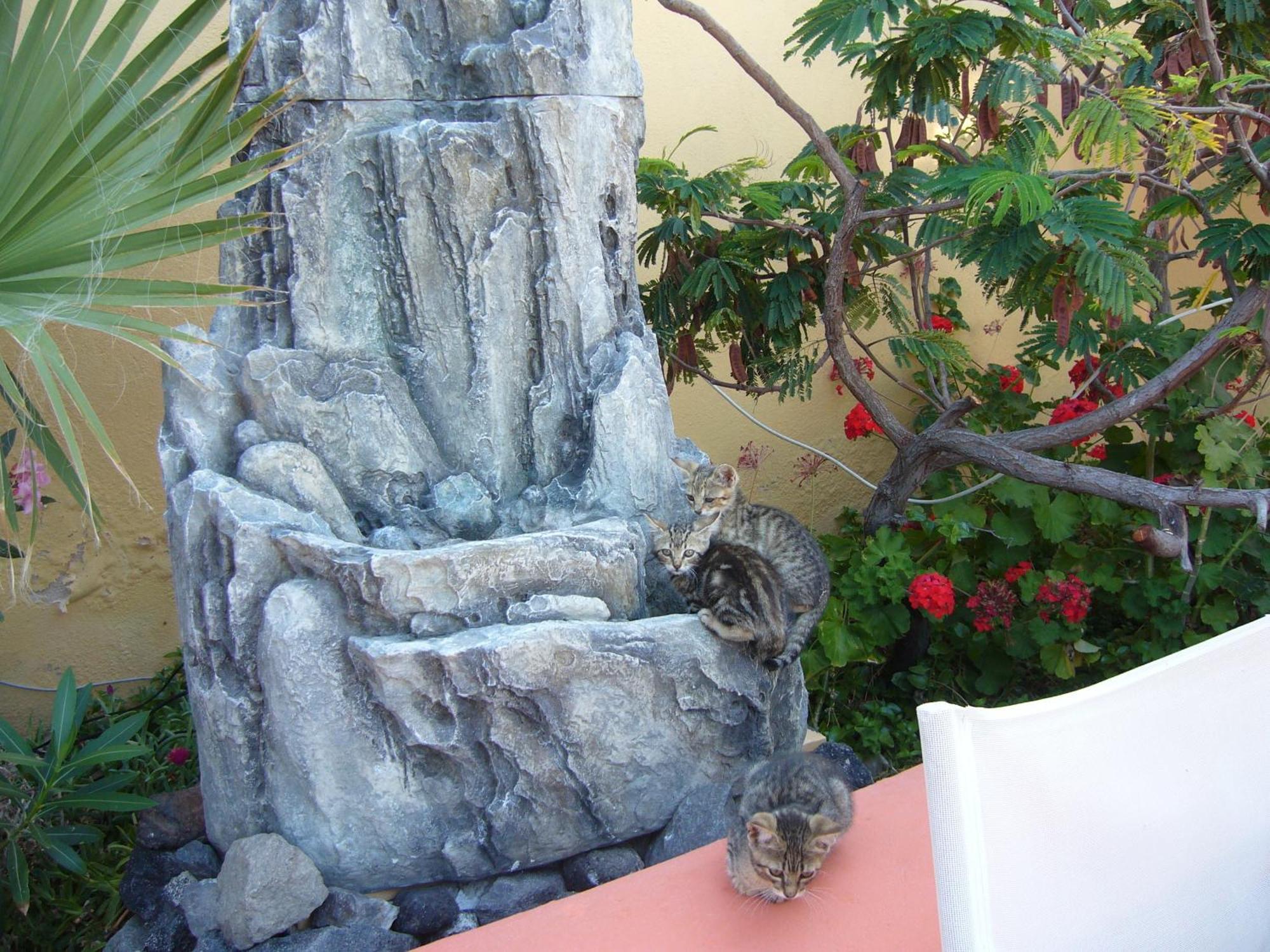 Soulis Hotel Oia Exterior foto